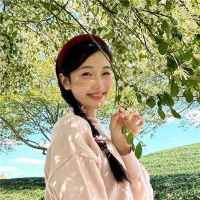 总统班底